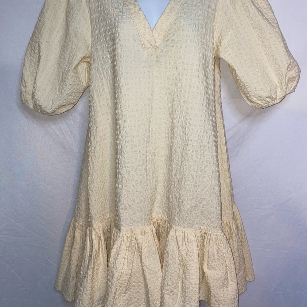 Ruffled Puffed Sleeved Dress - Picture 7 of 12
